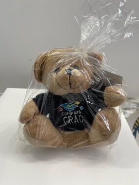 (2) Sweater Bear “CONGRATS GRAD” 6”